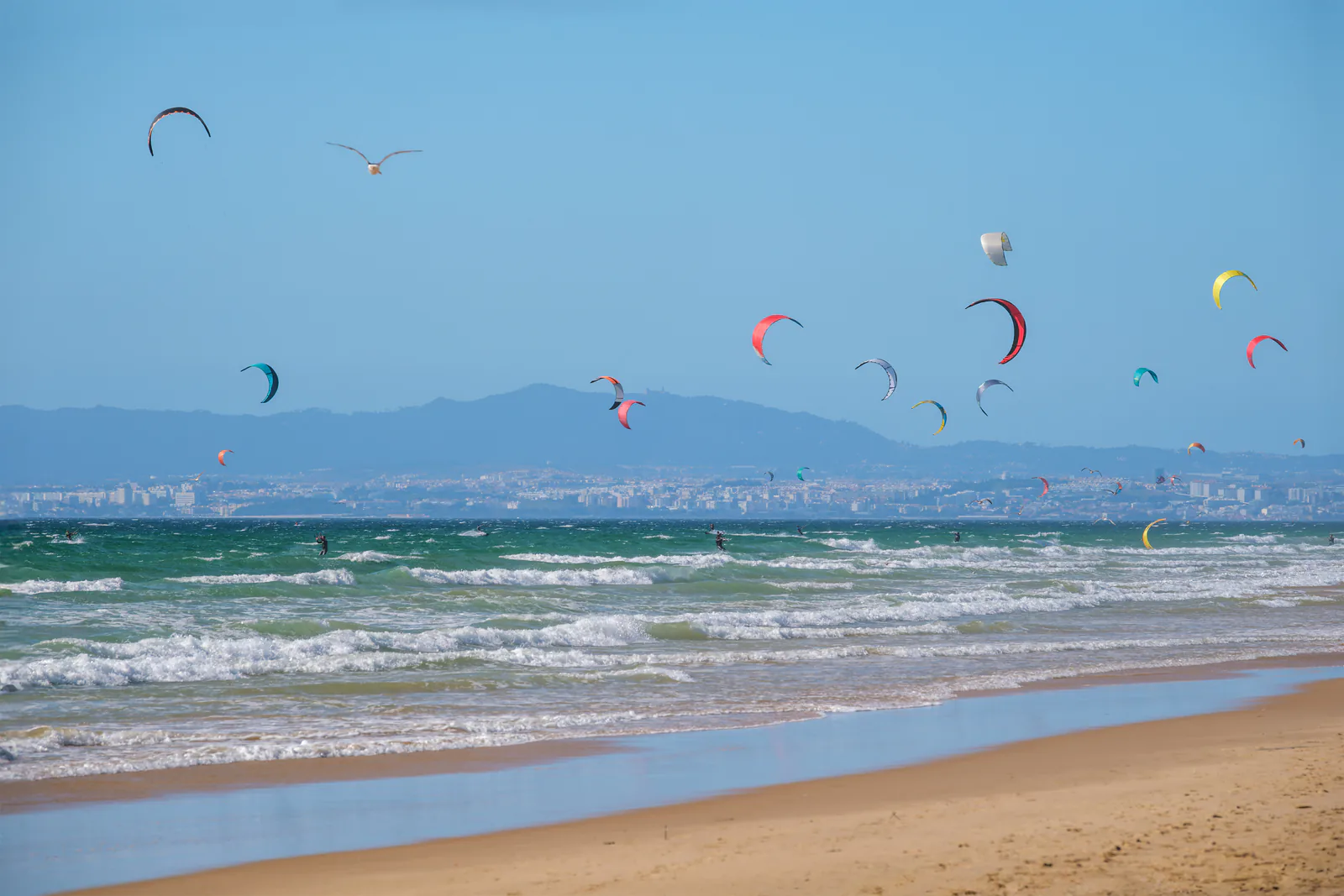 Numerose ali da kitesurf davanti alla spiaggia di Fonte da Telha